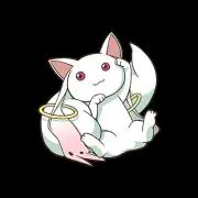 みかんの画像