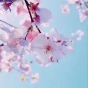 ビビアン