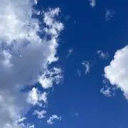 和の画像