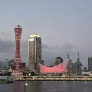 まねきねこ✨割引依頼はコメントへ