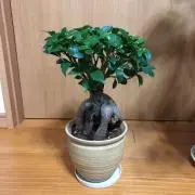まーさんの画像
