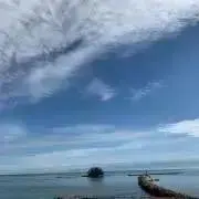 rasaの画像