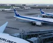 Minaseの画像