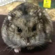 なみ