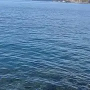 hikaruの画像
