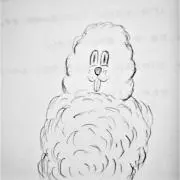 rabiの画像