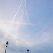 mucuの画像