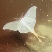 サンサム