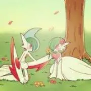 ita-Kの画像