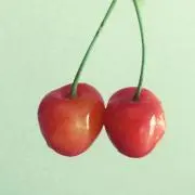 b.cの画像