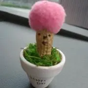 かっしー