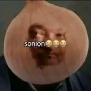 sonionの画像