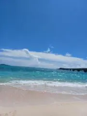 Chiharuの画像