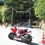 ペッツ