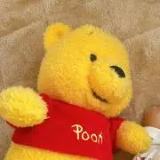 きいろのくまさんの画像