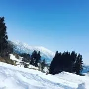 VBの画像