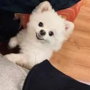 たけちよの画像