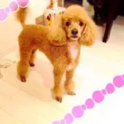 lovebeauty