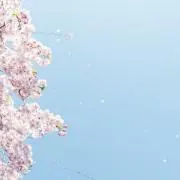サタデー　～即日発送、即購入可～の画像