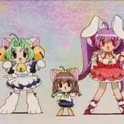 pさんの画像