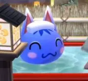 kokomiの画像