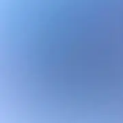 らん