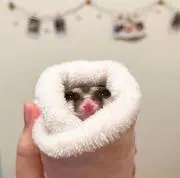 おみおみの画像