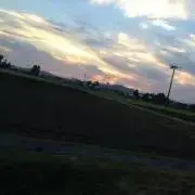 コウの画像
