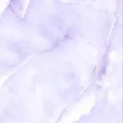 ネットワークの画像