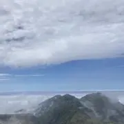 メバルの画像