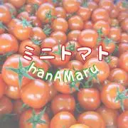 ご予約・問い合わせ】熊本県産 ミニトマト 千果 - メルカリ