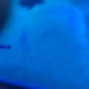 さちお プロフ確認お願いします