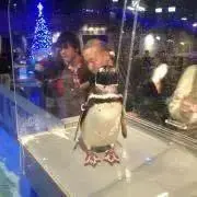 Y.Ｋの画像