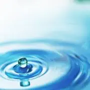 さまーの画像