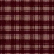 Nの画像