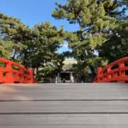 結愛の画像