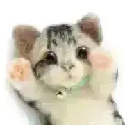 にゃごろの画像