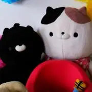 もここ