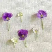 Love&blossom⋆*❁*⋆ฺ。*の画像