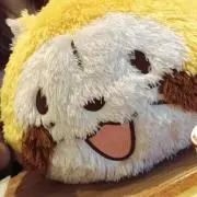 アイシーの画像