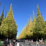Aの画像
