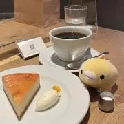 たゆゆの画像