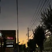 有彩