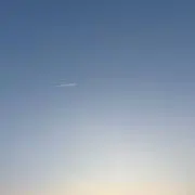 もねの画像
