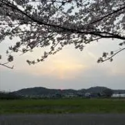 りさの画像