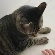 nnnの画像