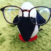 Kyopiの画像