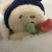 にぴの画像
