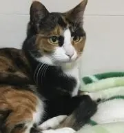 taiseiの画像