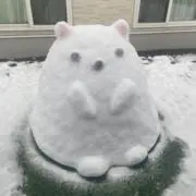 すいすいの画像